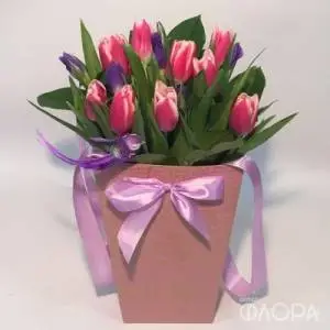 Тюльпаны и ирисы в плайм-пакете