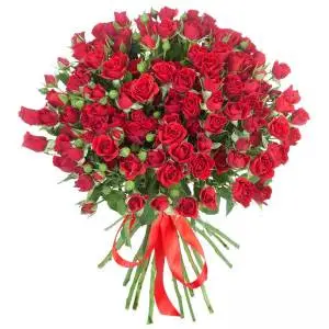 Красные кустовые розы